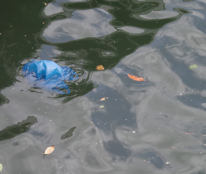 Plastic bag in river