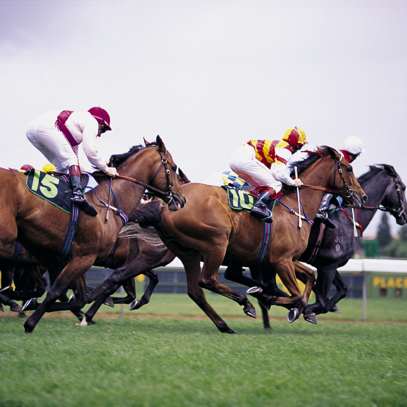 Horses racing