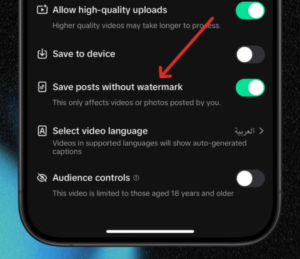 TikTok Content Export Option